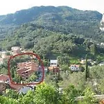 Irene 3*